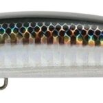 Seaspin COIXEDDA 100