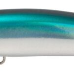 Seaspin COIXEDDA 100