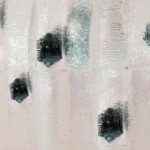 Rapture SPEED TAIL 2.3"