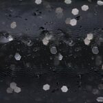 Rapture XCITER GRUB 3"