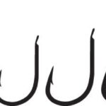 Amo Trabucco XPS 620XK