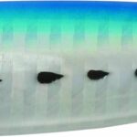 Rapture SHIRASU CAST LONG CASTING JIG gr.20