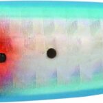 Rapture SHIRASU CAST LONG CASTING JIG gr.30