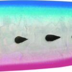 Rapture SHIRASU CAST LONG CASTING JIG gr.40