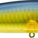 Rapture BOW DANCER 115