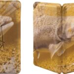 Rapture SPOON BOX LIMITED EDITION