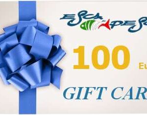 GIFT CARD 100 Euro