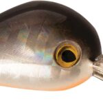 Rapture HOT BUZZ AREA