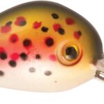 Rapture HOT BUZZ AREA