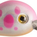 Rapture HOT BUZZ AREA