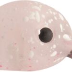 Rapture HOT BUZZ AREA