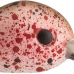 Rapture HOT BUZZ AREA