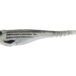 Molix SS SHAD 4"