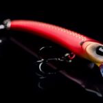 Molix AUDACE 65SP
