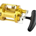 Italcanna GLADIATOR GOLD