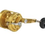 Italcanna GLADIATOR CUB GOLD