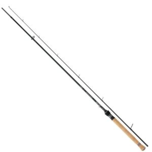 Rapture ARCHER