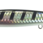 Seaspin EJA 130 BULLET