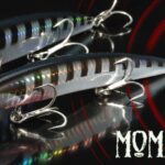 Seaspin MOMMOTTI 180 SF