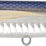 Rapture OCEAN WALKER