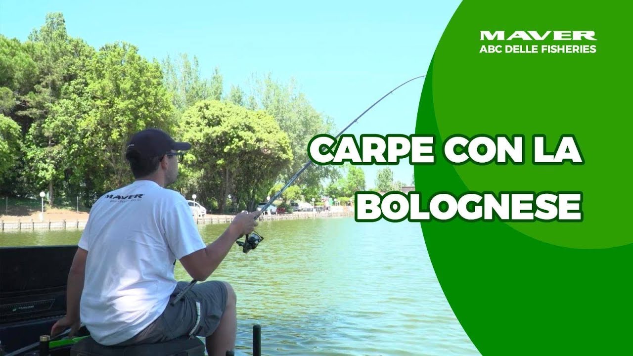 pesca bolognese video