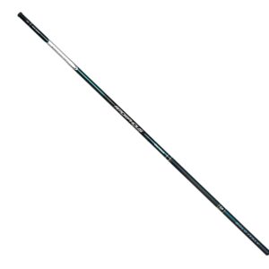 Daiwa AMORPHOUS BOLO REGULAR BI