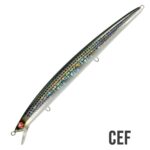 Seaspin MOMMOTTI 180 SF