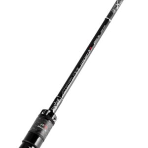 Rapture ACRUX CONCEPT FR & GR