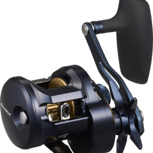 DAIWA 25 SALTIGA 300
