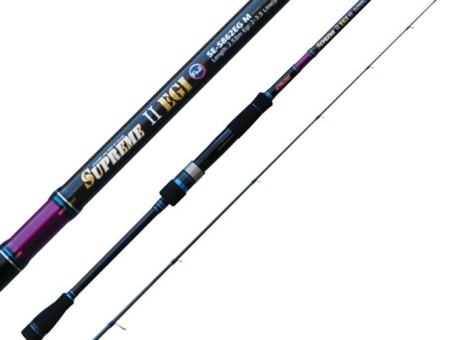 Falcon Supreme Egi II: La Canne da Eging per Pescatori Esigenti