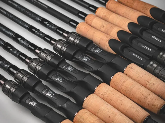 Daiwa 25 Tatula: La Canne Perfetta per il Black Bass